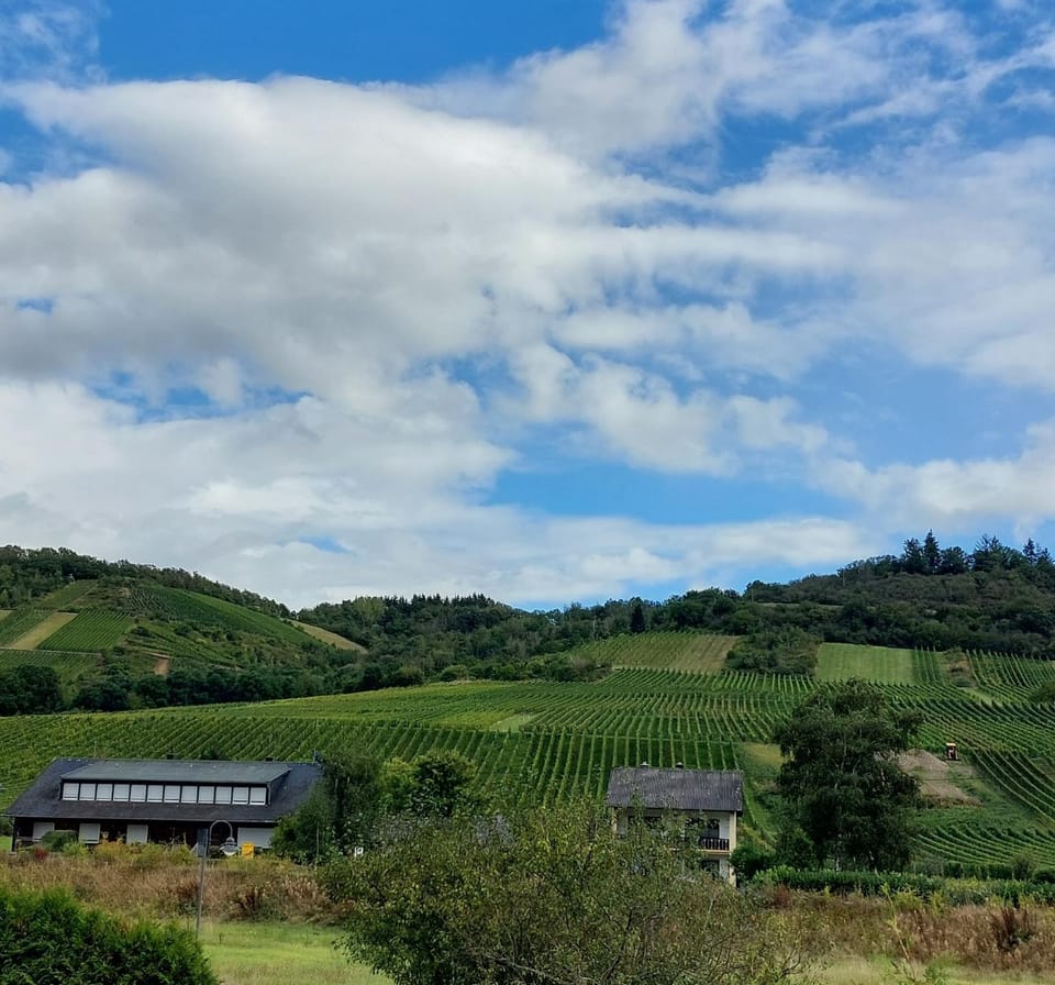View (from property/room), Mountain view