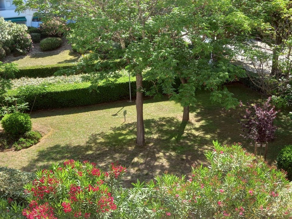 Patio, Garden, Garden view