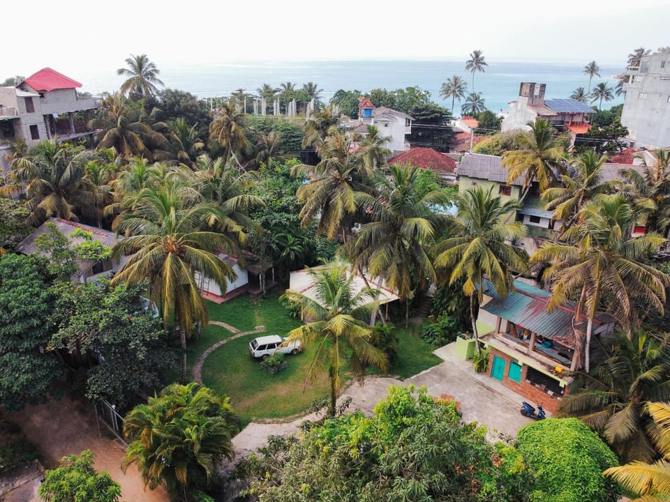 Natural landscape, Bird's eye view, Garden, Sea view