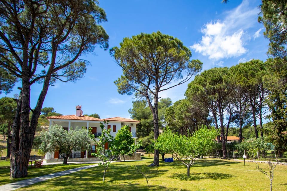 Filyra Seafront Villa, Vourvourou Villa in Halkidiki