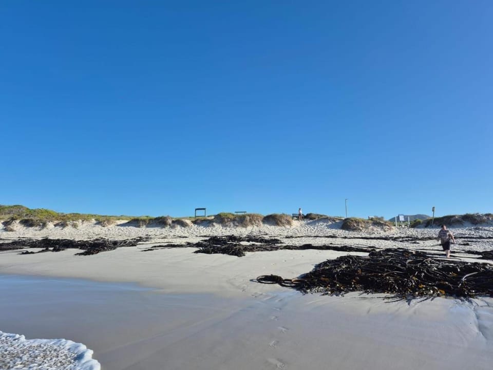 Natural landscape, Beach