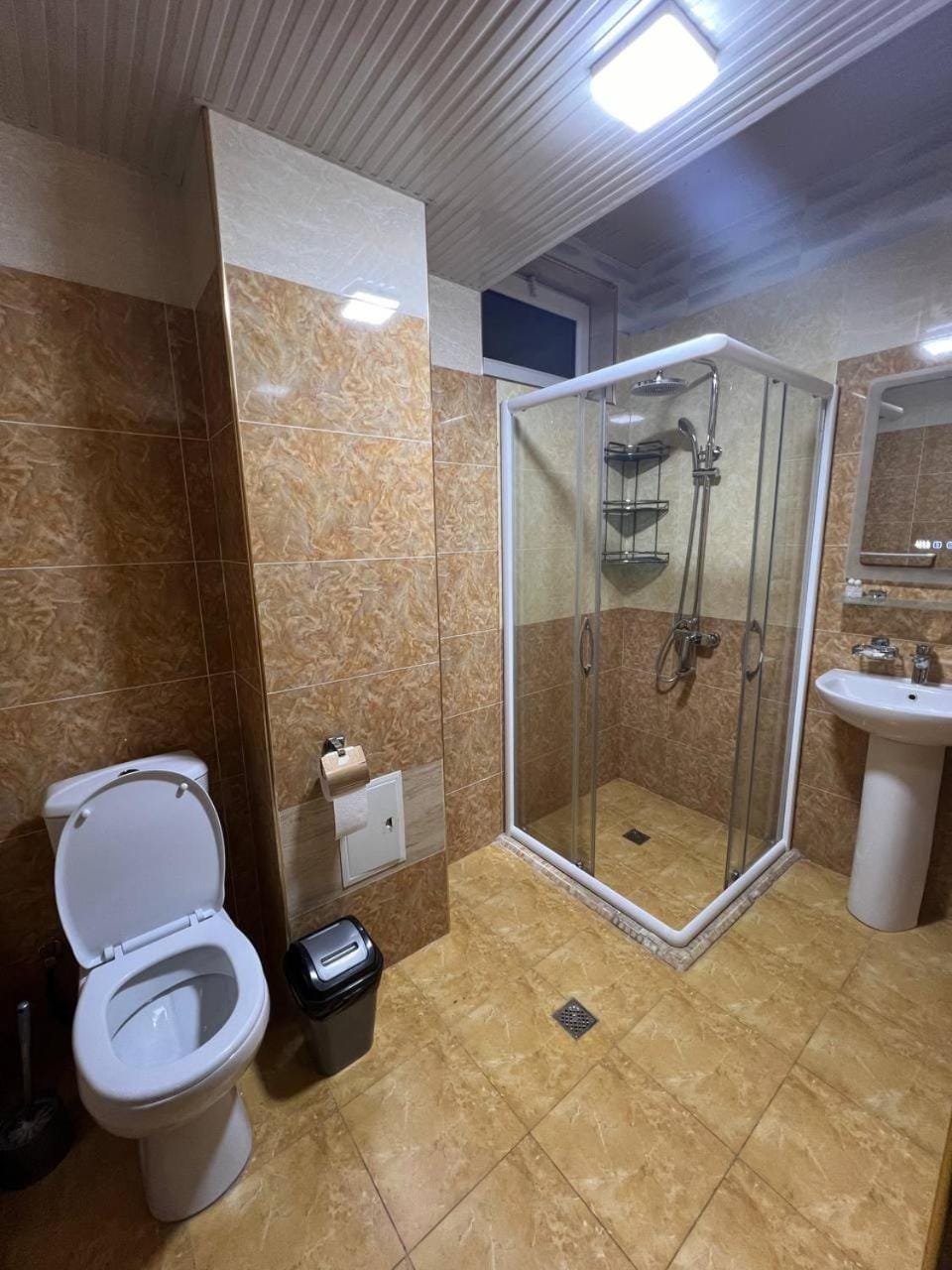 Shower, Toilet, Bathroom, bidet
