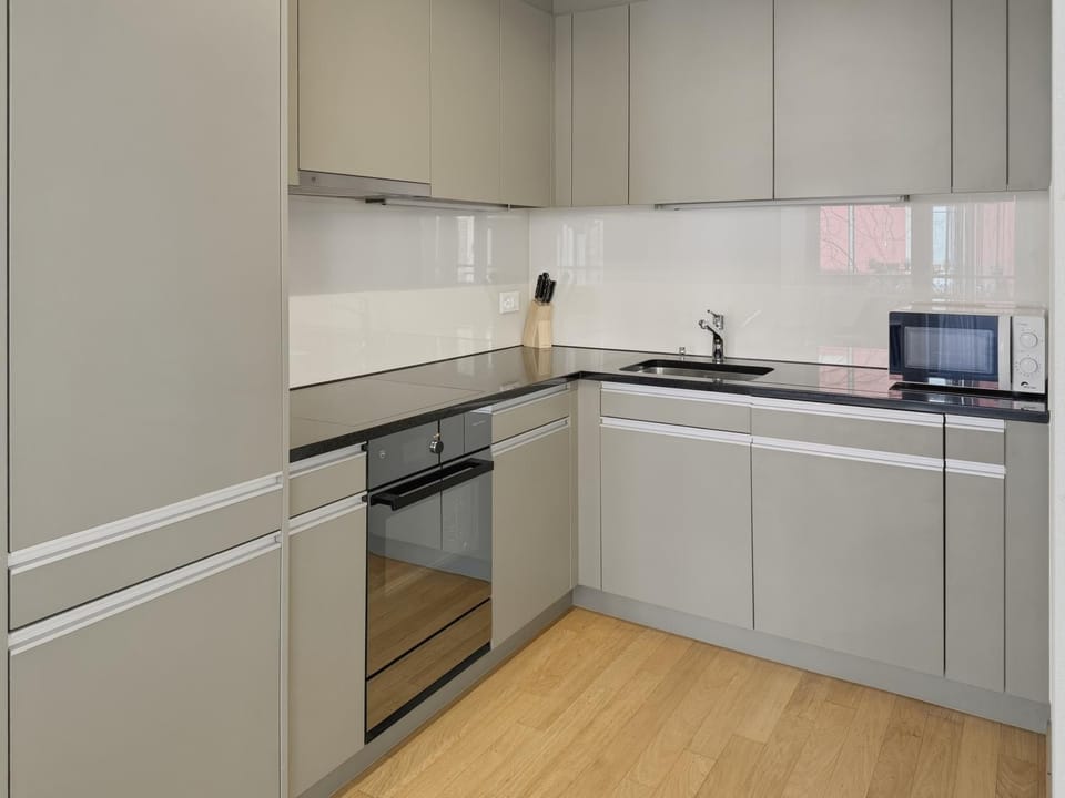 Kitchen or kitchenette, dishwasher, oven, stove