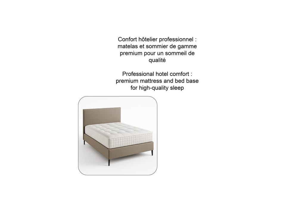 Elegant Apartment Near the European Quarter Apartment in Strasbourg