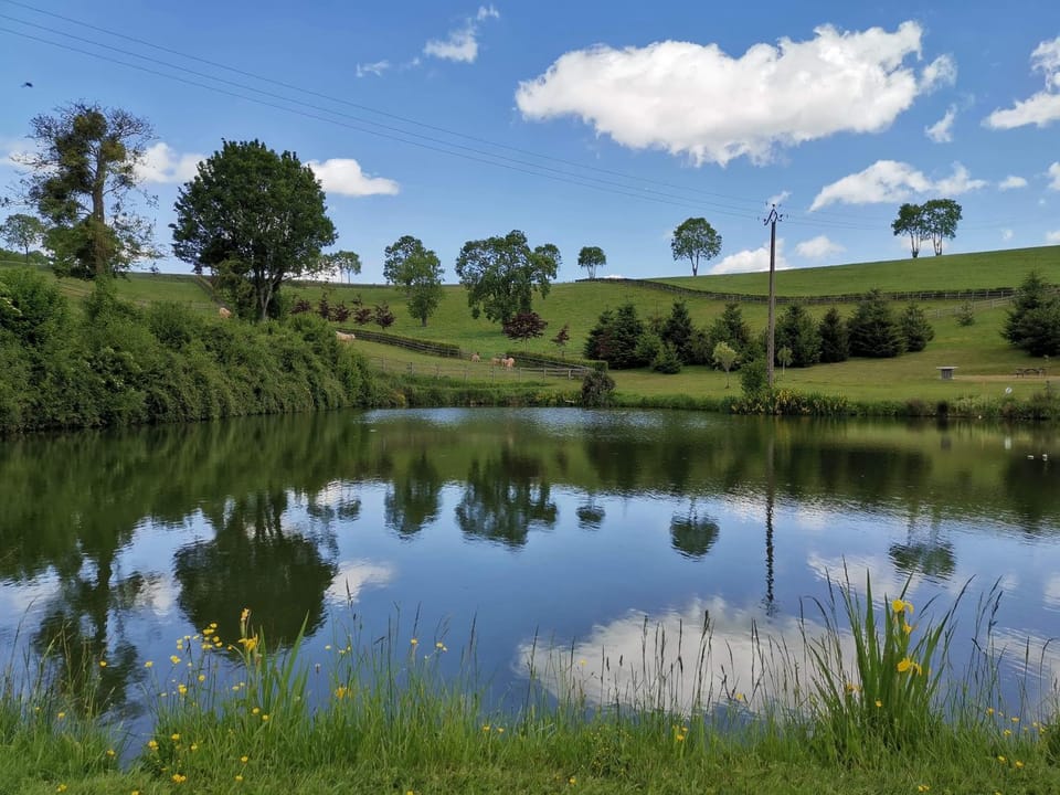 Natural landscape