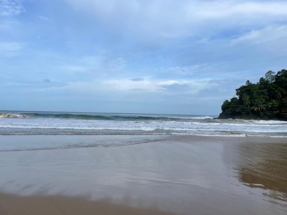 Day, Natural landscape, Beach, Sea view