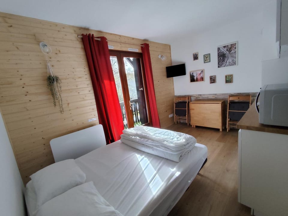 Milky Way - Appartement en bas des pistes du Mourtis Apartment in Aragon
