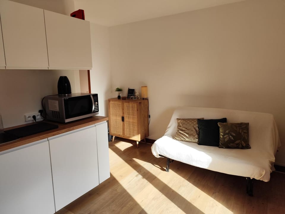 Milky Way - Appartement en bas des pistes du Mourtis Apartment in Aragon