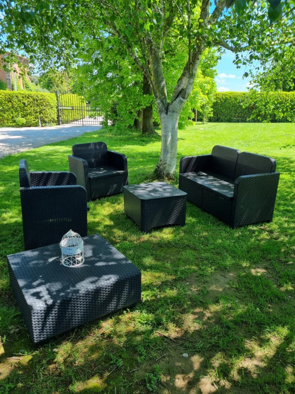 Garden, Garden, Garden view