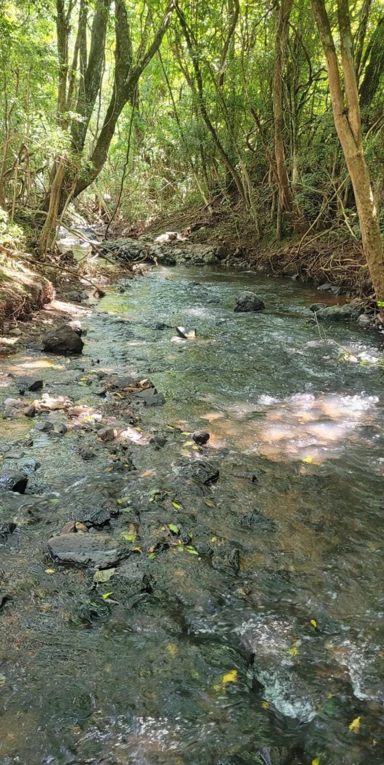 Sitio marau rs Campground/ 
RV Resort in State of Santa Catarina