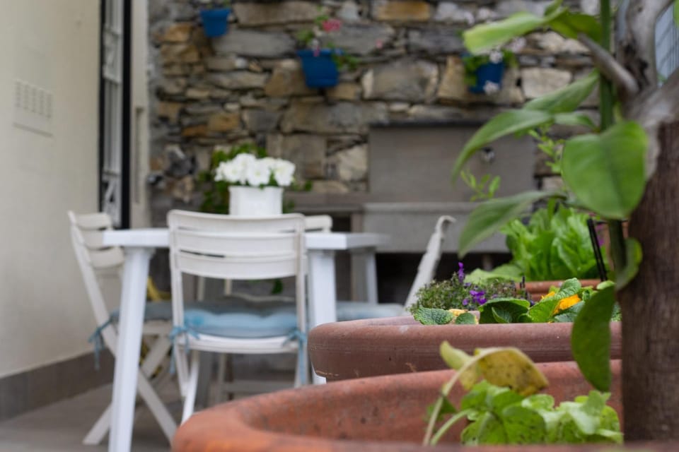 Patio, Garden