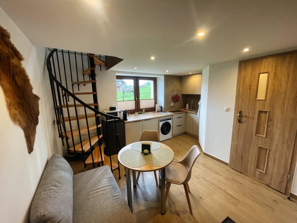 Kitchen or kitchenette, Photo of the whole room, Dining area, microwave