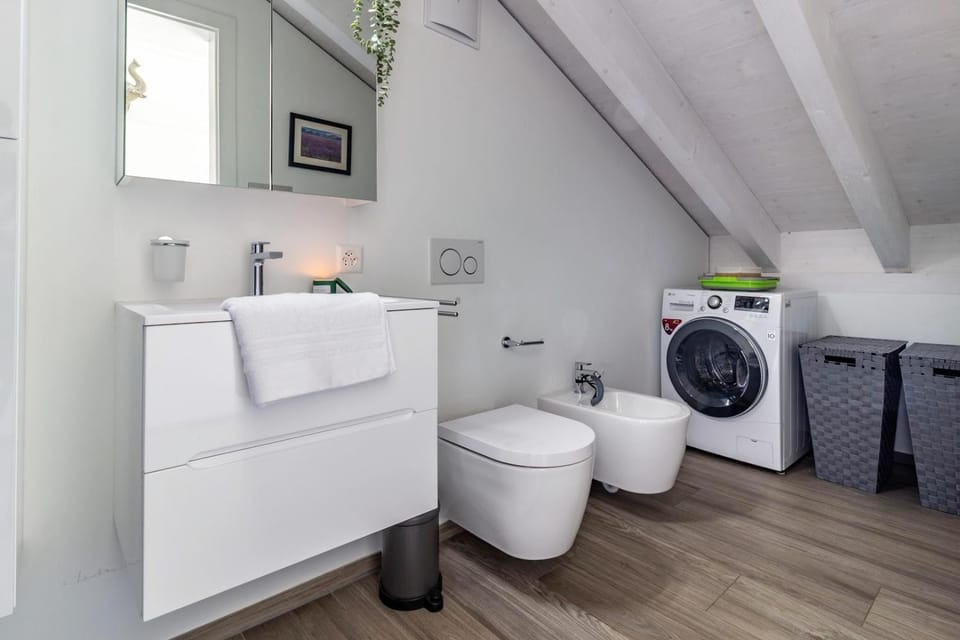 Toilet, Bathroom, washing machine