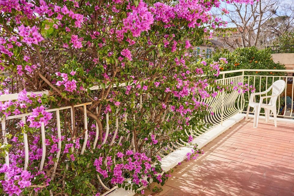 Garden, Balcony/Terrace