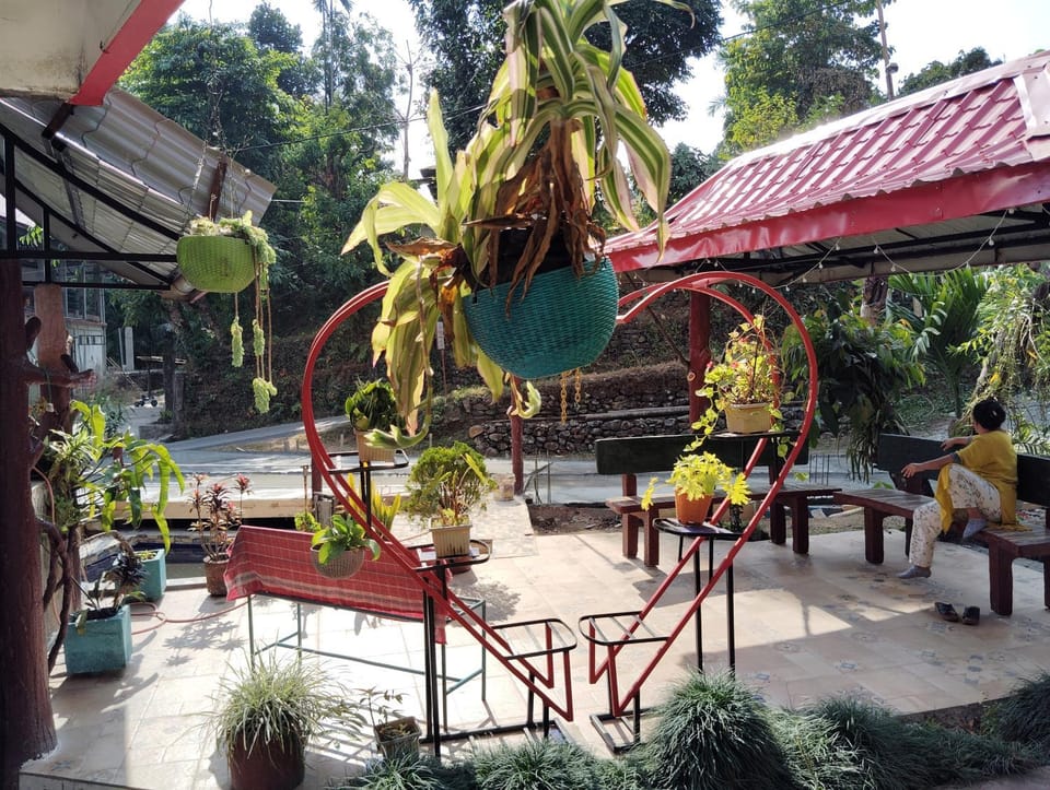 Garden view