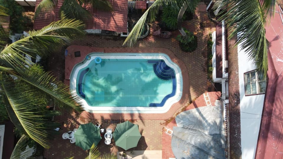 Day, Natural landscape, Garden view, Pool view, Swimming pool