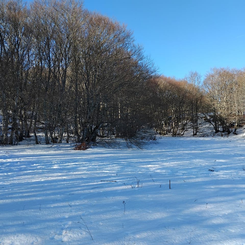 Natural landscape