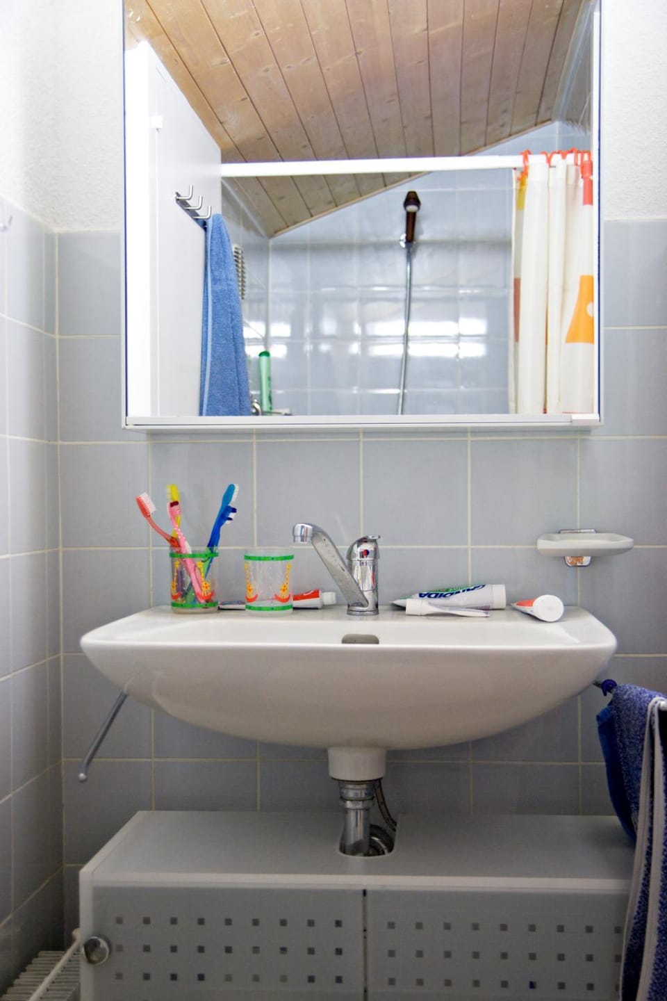 Shower, Bathroom