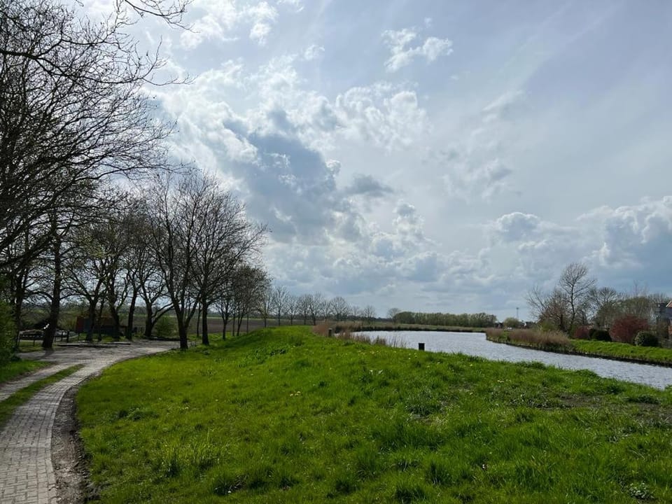 Natural landscape