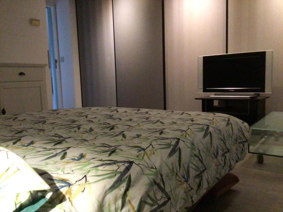 Entire first floor, kitchen, bathroom, roofterrace, 1 bedroom if max 3 guests or 2 bedrooms if max 5 guests Apartment in Flanders