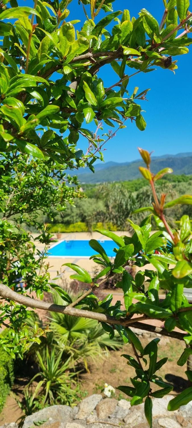 Spring, Day, Natural landscape, Pool view, Swimming pool