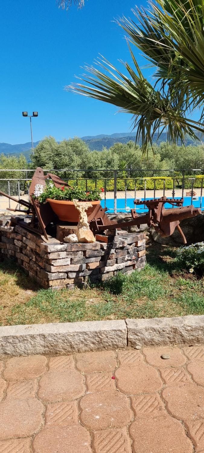 Day, Natural landscape, Garden, Garden view, Pool view, Swimming pool