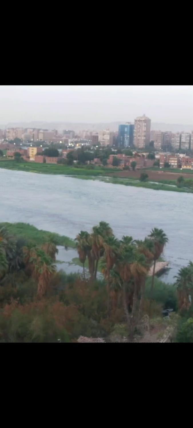 شقه علي النيل Apartment in Cairo Governorate
