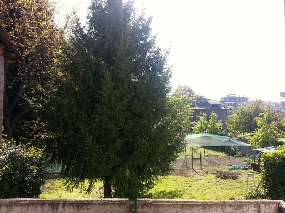 Garden, Balcony/Terrace
