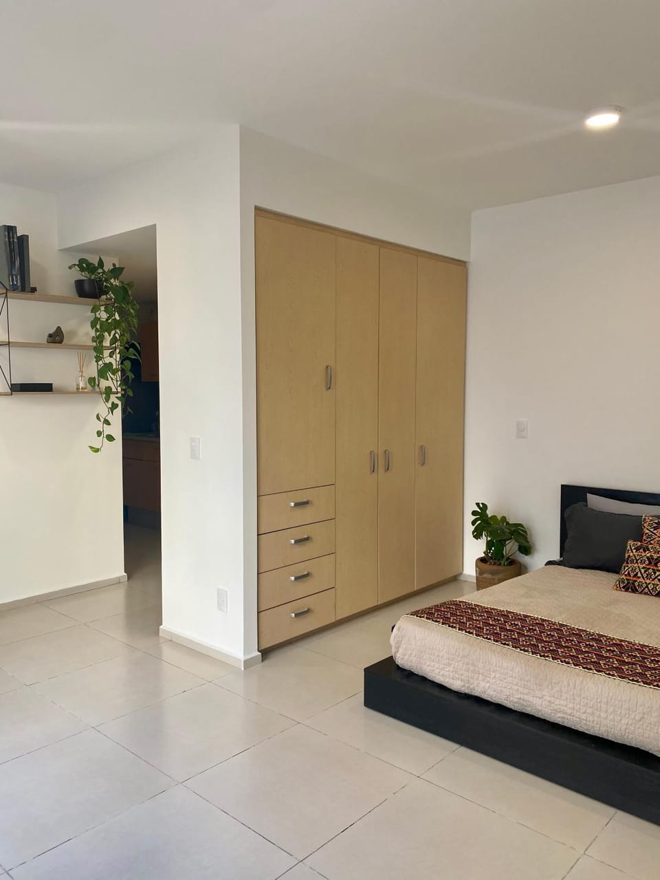 C206 - 1BR - 1BTh Apartment in Mexico City