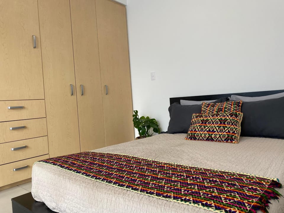 C206 - 1BR - 1BTh Apartment in Mexico City