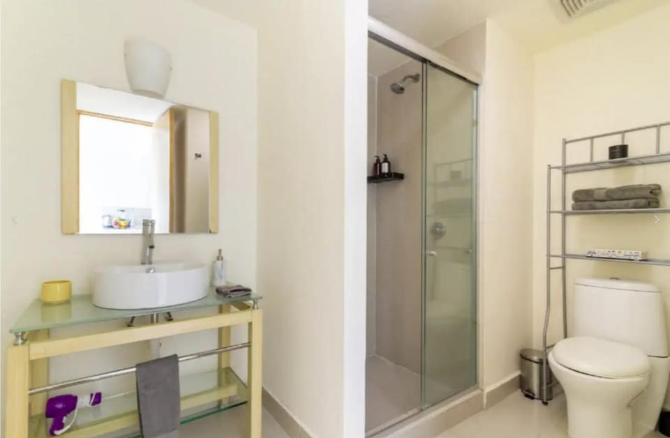 B405 - 1BR - 1BTh Apartment in Mexico City