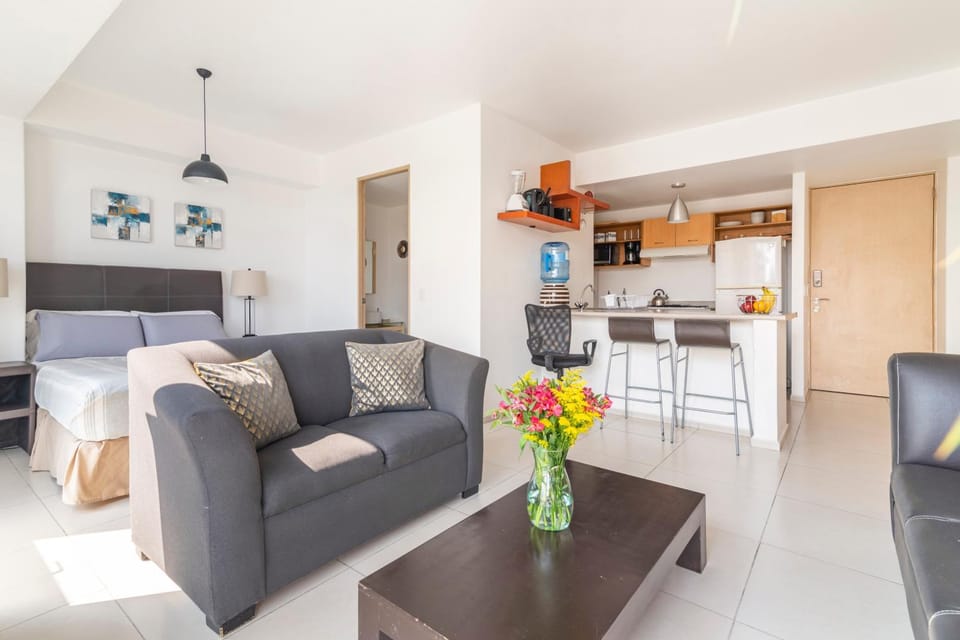 C202 - 1BR - 1BTh Apartment in Mexico City