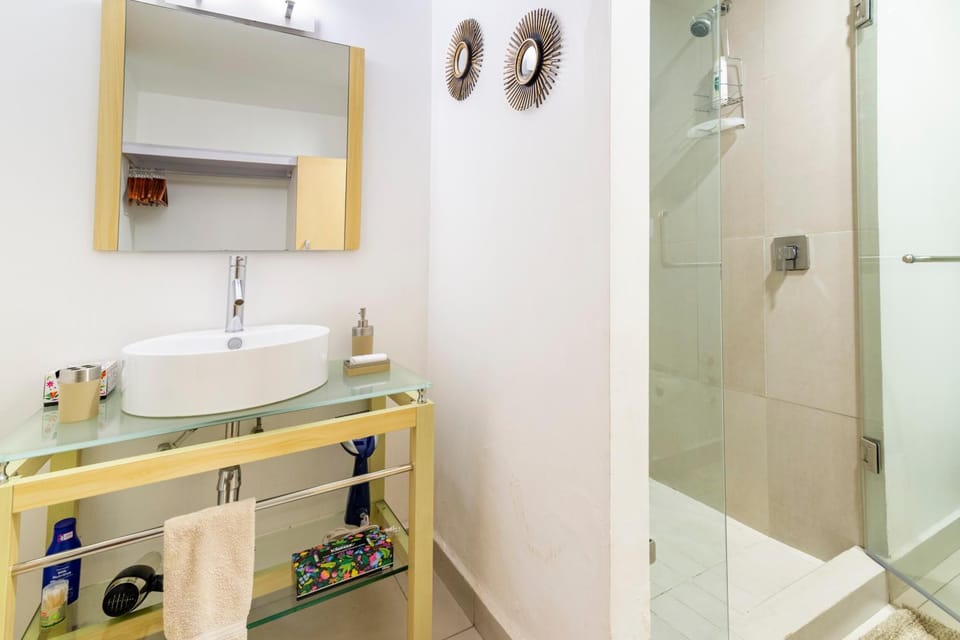 C202 - 1BR - 1BTh Apartment in Mexico City
