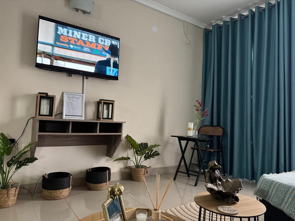 TV and multimedia