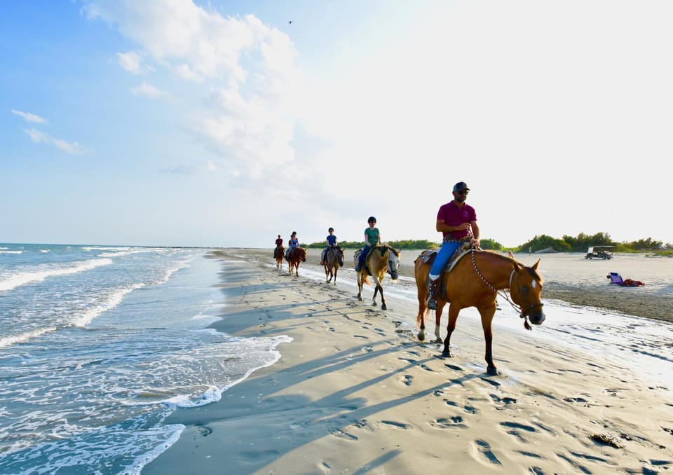 People, Activities, Horse-riding, Animals, Sports, Entertainment