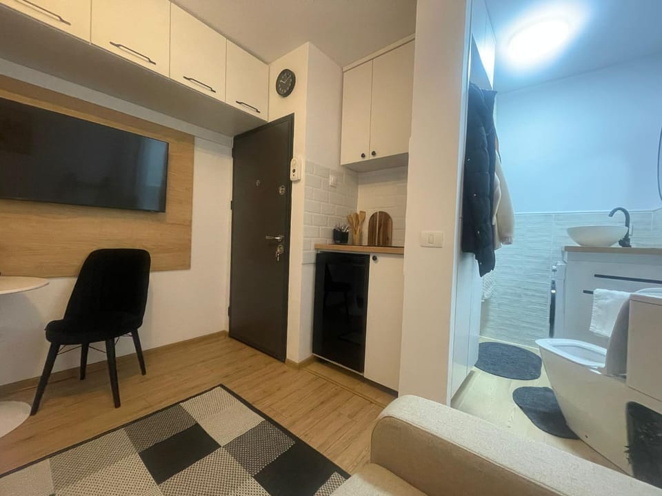Garsoniera Sagului Apartment in Timisoara