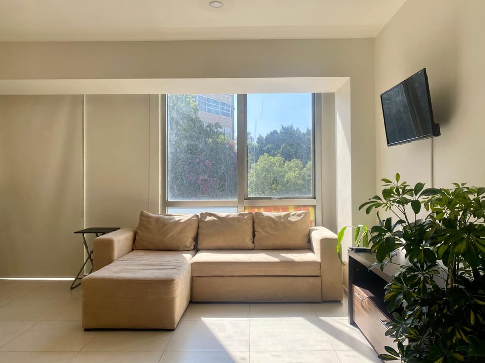 B104 - 1BR - 1BTh Apartment in Mexico City