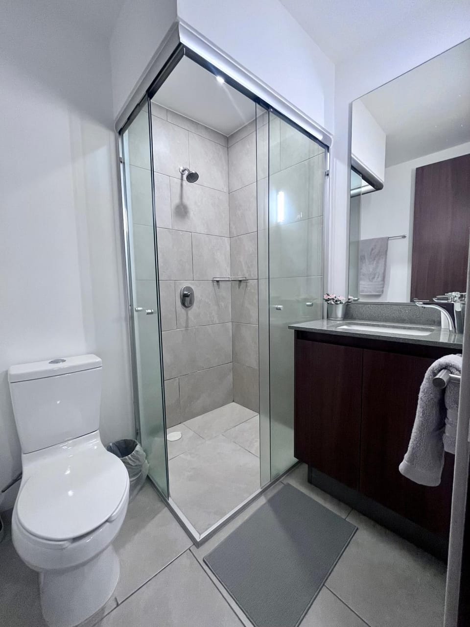 ML002 - 2BR - 2BTh Apartment in Mexico City