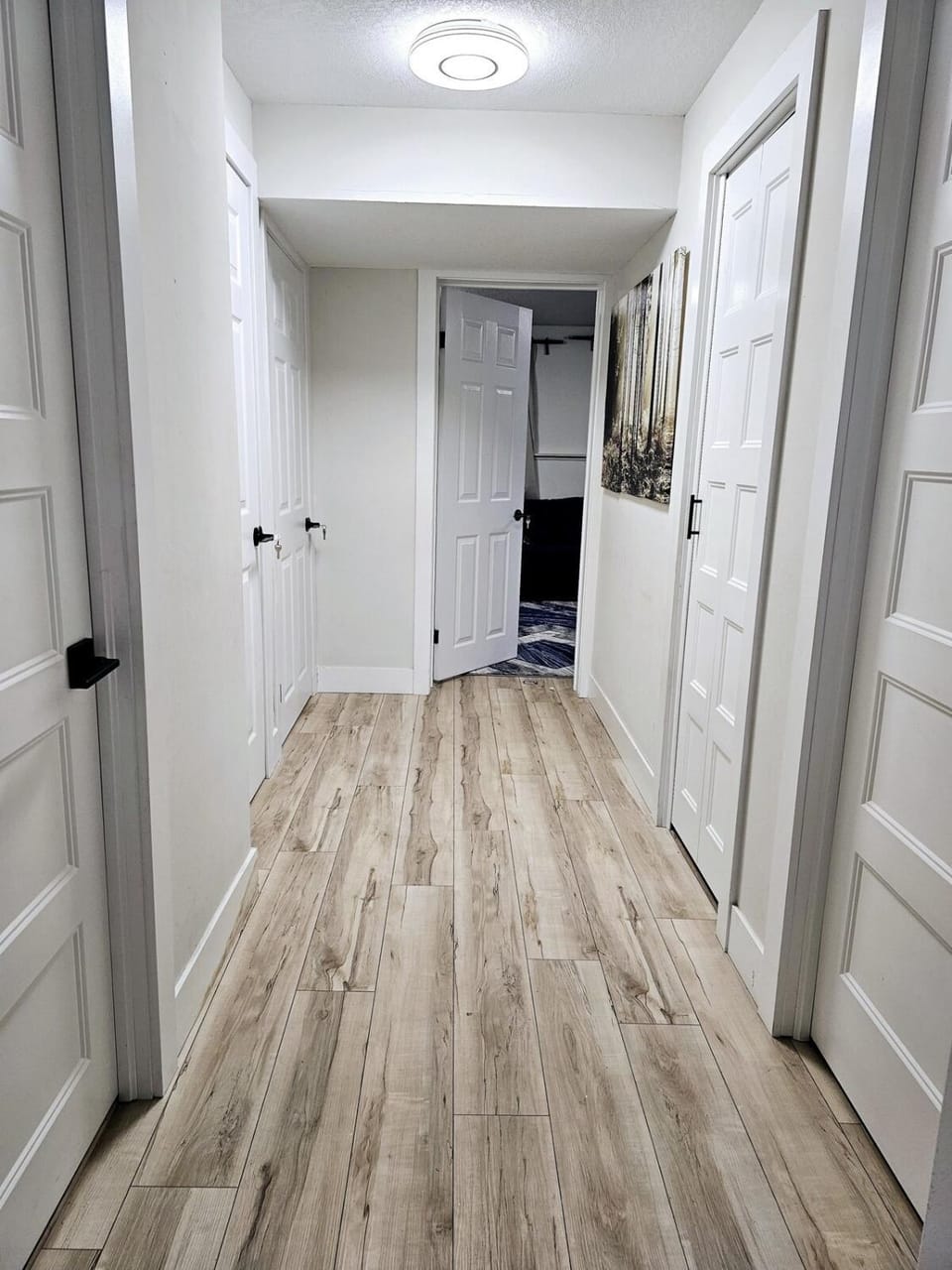 1 Bedroom Apartment with Living Room and Full Washroom to yourself alone and a private car park Apartment in London