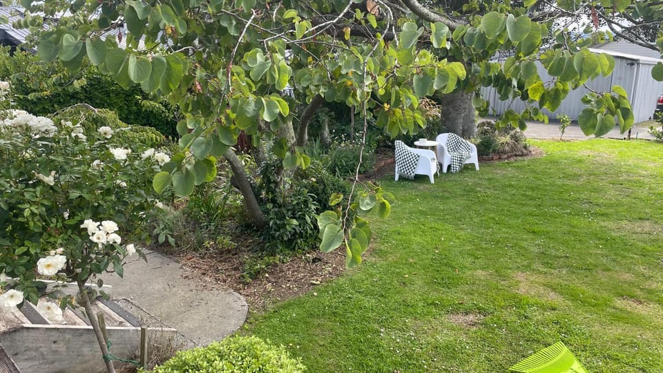 Natural landscape, Garden, Garden view