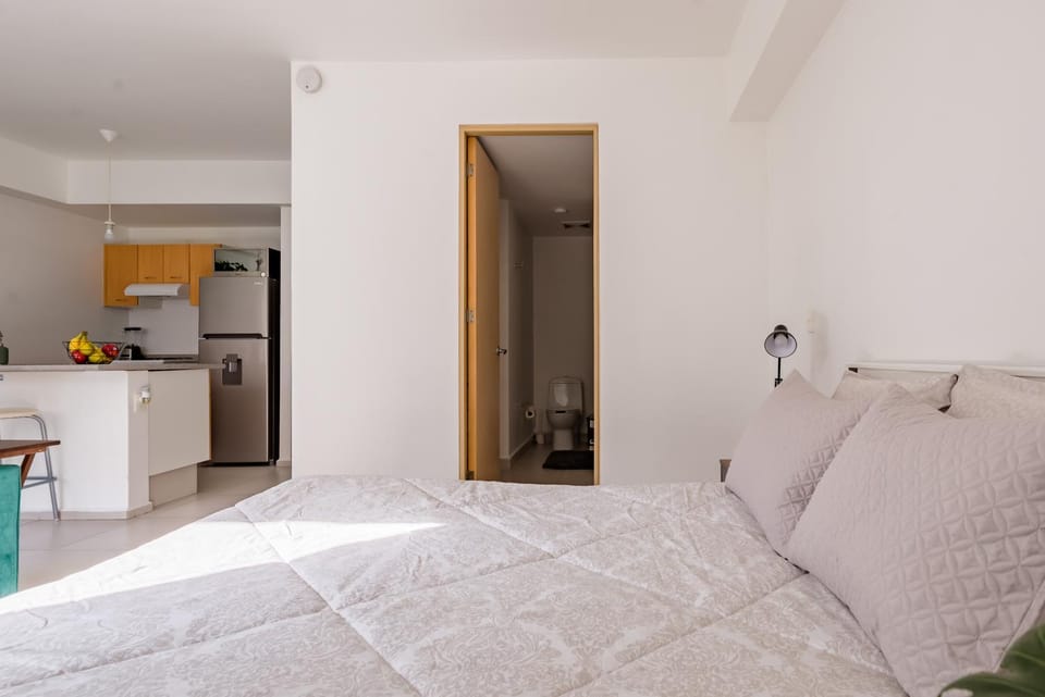 EPJ06 - 1BR - 1BTh Apartment in Mexico City
