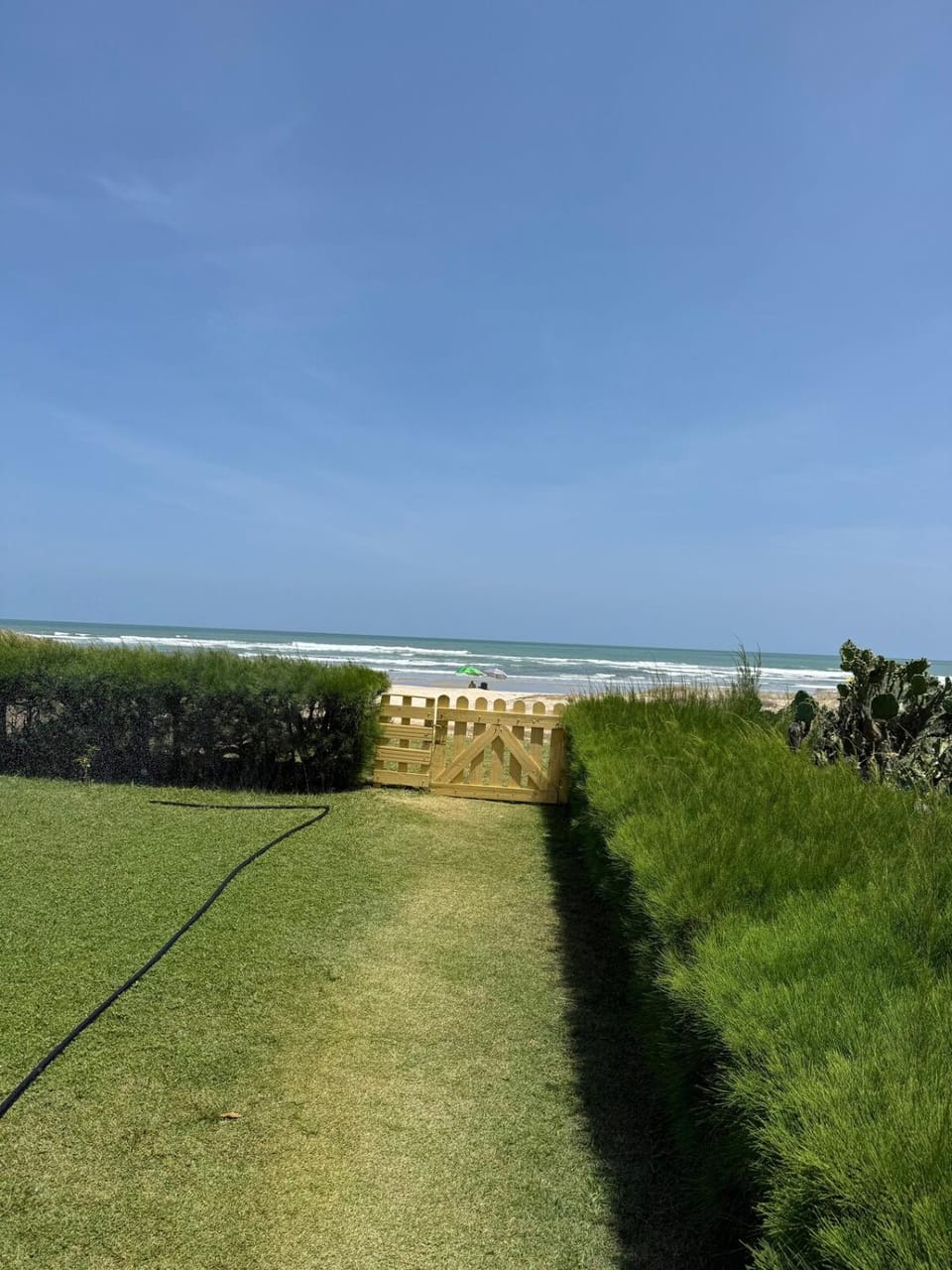 Garden, Sea view