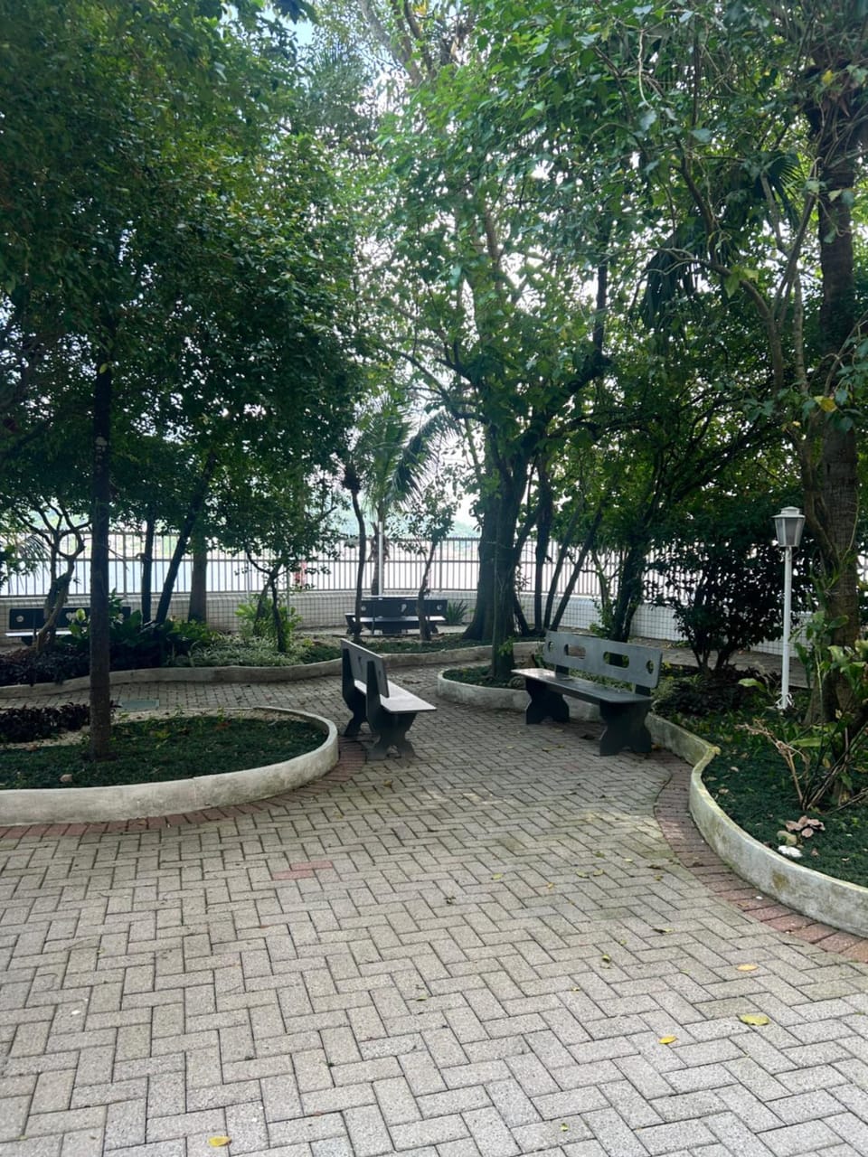 Garden, Garden, Garden view