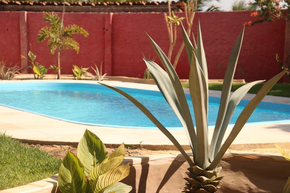 Day, Garden view, Pool view, Swimming pool