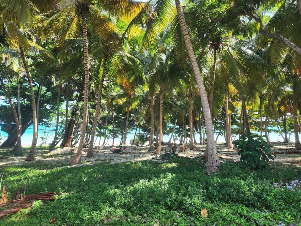 Apartment in front of beach, AC, Wifi, Hot Water Apartment in Dominican Republic