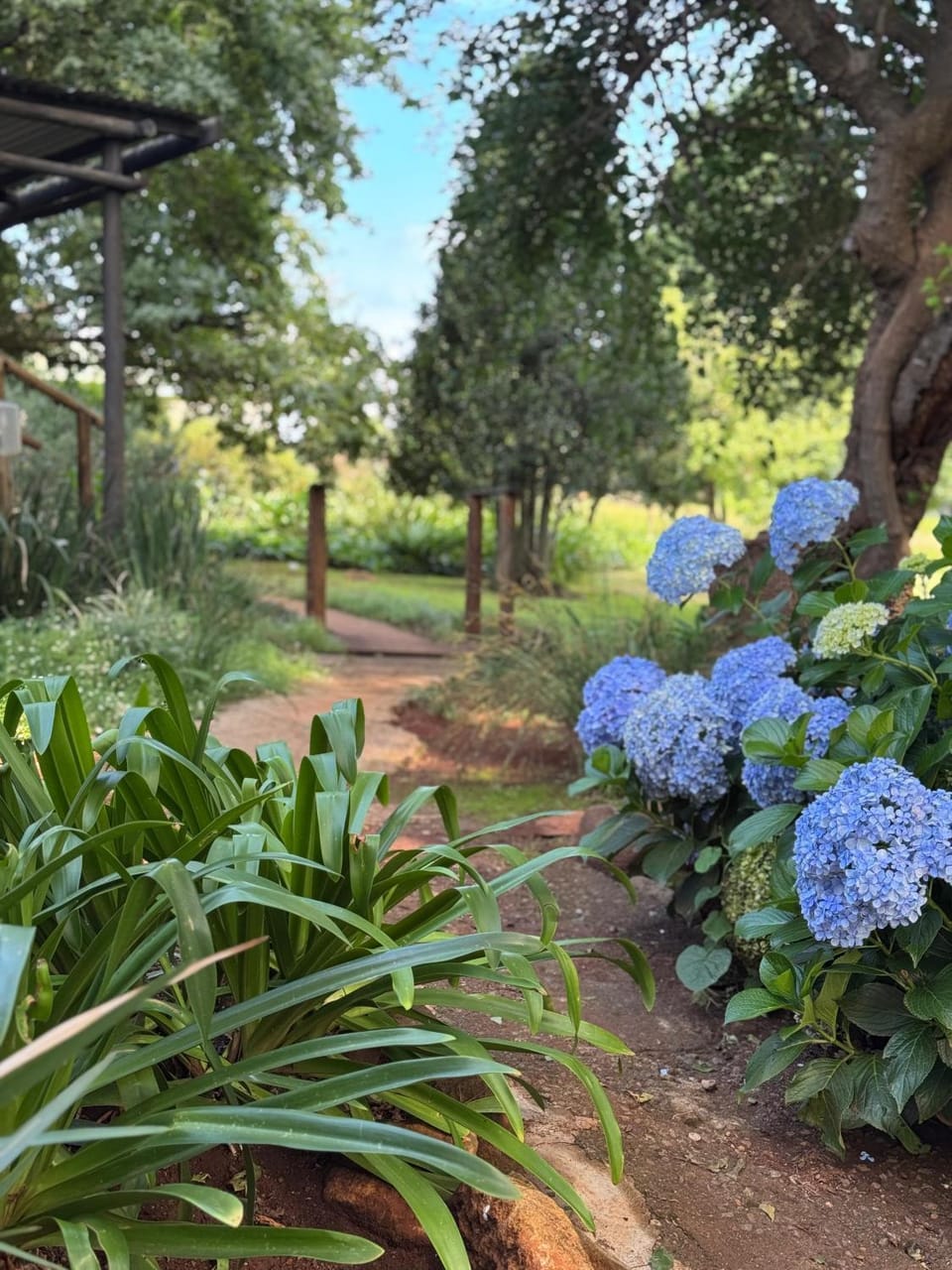 Misty River Bed and Breakfast in KwaZulu-Natal