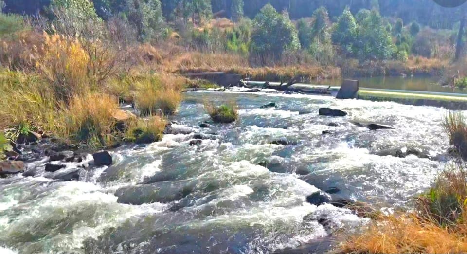 Day, Natural landscape, Garden, River view