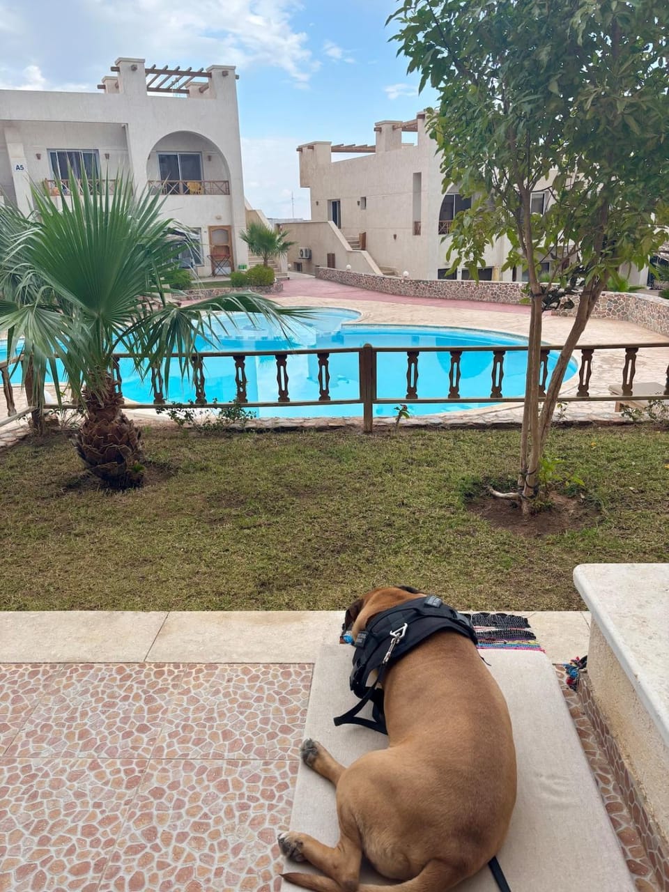 Casa Pablo Dahab Apartment in South Sinai Governorate