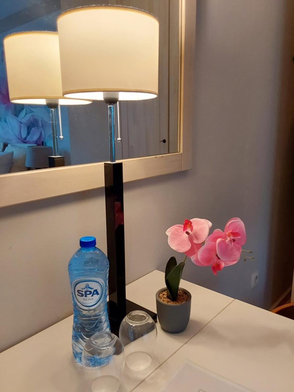 Hotel Golden Dragon Hotel in Mol