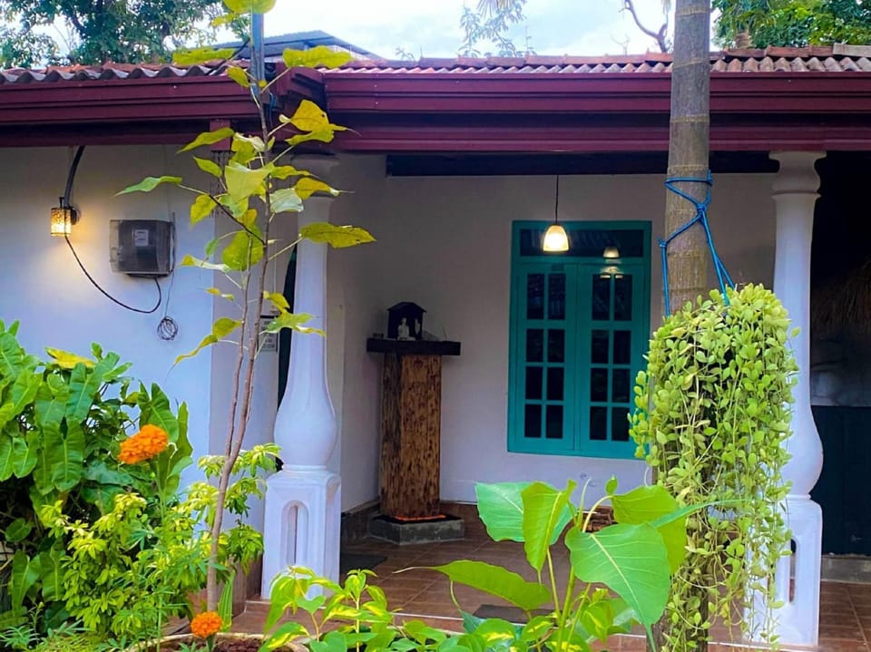 Property building, Garden, Garden view